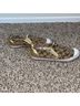 Coach Print Tan Gold Sneakers Size 7 - photo 8