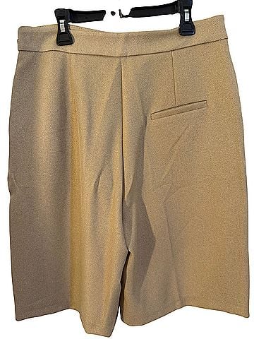 Daydreamers Dressy Shorts (view 2)
