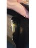 Circle G 100% Leather Solid Tan Boots Size 8 - photo 8
