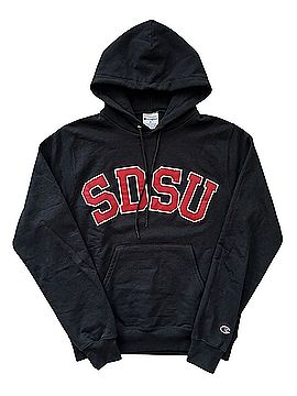 Champion Pullover Hoodie (view 1)