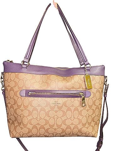 Coach Tote (view 1)