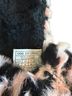 Ugg 100% Sheepskin Animal Print Zebra Print Pink Black Sandals Size 8 - photo 7