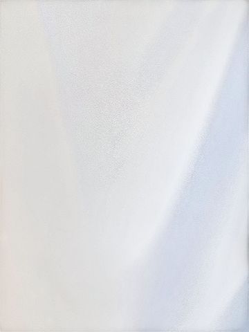 The Limited Short Sleeve Blouse (view 2)