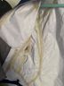 High Sierra Jacket - High Sierra Jacket Size M - photo 3