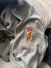 U.S. Polo Assn. Pullover Sweater - U.S. Polo Assn. Pullover Sweater Size L - photo 3