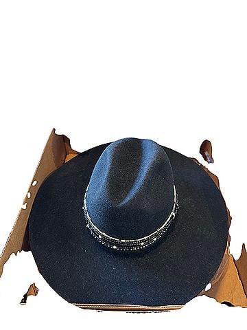 STETSON Hat (view 2)
