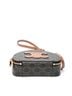 Céline Brown Triomphe Half Moon Case Shoulder Bag One size - photo 9