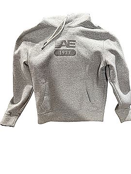 American Eagle Outfitters Pullover Hoodie (view 1)
