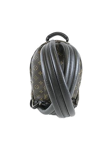 Louis Vuitton Louis Vuitton Monogram Palm Springs Backpack PM M41560 Rucksack (view 2)