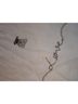 Citrus Animal Print Ivory Scarf One size - photo 5