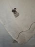 Citrus Animal Print Ivory Scarf One size - photo 9