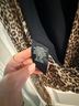 Alice + Olivia 100% Polyester 96% Polyester 4% Elastane Animal Print Multi Color Sleeveless Blouse Size L - photo 4