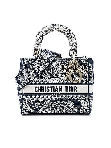 Dior Medium Embroidered Canvas Toile de Jouy Lady D Lite (view 1)