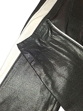 SPANX Leather Pants (view 2)