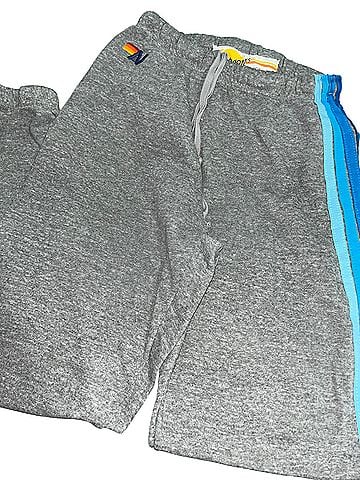 Aviator Nation Sweatpants (view 1)