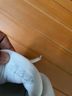 Vionic White Sneakers Size 8 1/2 - photo 6