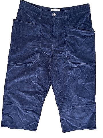 Everlane pant Cords (view 1)