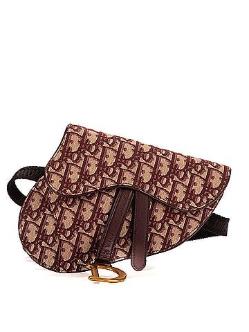 Dior Saddle pouch (view 1)