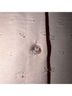 Laundry 100% Polyester Pink Button-Down Shirt Size XS - photo 7