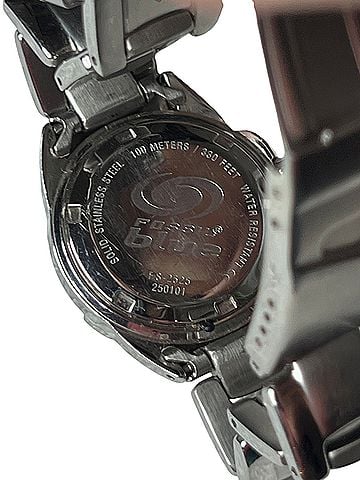 Fossil Watch (view 2)