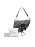 Dior 100% Canvas Blue Oblique Canvas Saddle Bag One size - photo 6