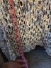 Pol Blue Multi Color Sweater Vest Size 2X - photo 7