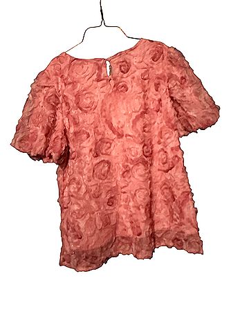 Hayden Short Sleeve Blouse (view 2)
