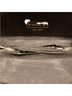Coach Camo Black Sunglasses One size - photo 3
