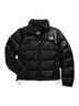The North Face 2000 Nuptse Jacket - photo 1