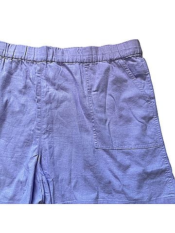 J.Crew Shorts (view 2)