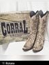 Corral Boots 100% Leather Print Tan Brown Gold Boots Size 8 - photo 3