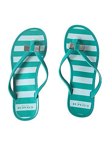Coach Flip Flops (view 1)