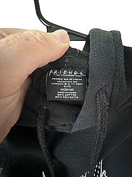 Friends Pullover Hoodie (view 2)