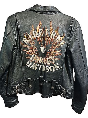Harley Davidson Harley Davidson Leather Jacket (view 1)
