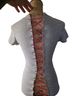 Next Level Apparel Kustom CuttiN Short Sleeve Blouse - photo 2