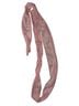 Cider Pink Cocktail Dress Size L - photo 3
