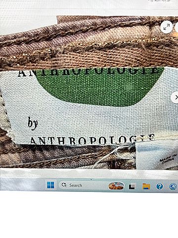 Anthropologie Cargo Shorts (view 2)