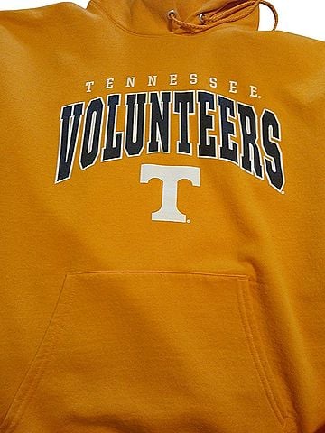 Russell Athletic Pullover Hoodie (view 2)
