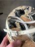 Stuart Weitzman 100% Leather White Wedges Size 8 1/2 - photo 9