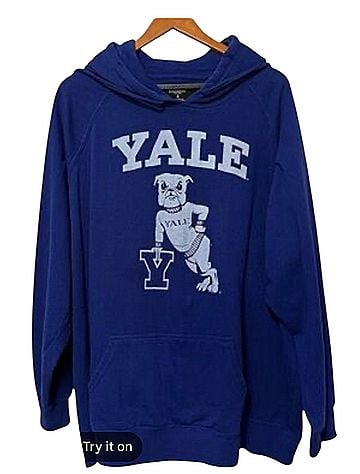 Torrid Pullover Hoodie (view 1)