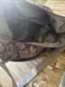 Petunia Pickle Bottom Floral Purple Ivory Diaper Bag One size - photo 3