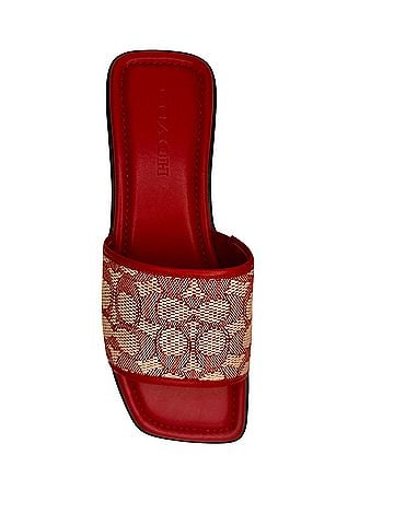 Coach Flip Flops (view 2)