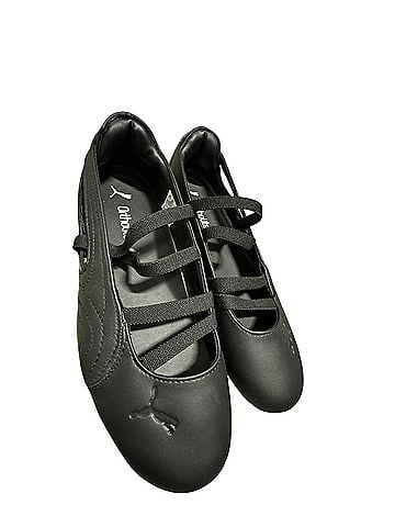 Puma Flats (view 1)