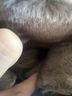 Blondo Brown Boots Size 8 1/2 - photo 7