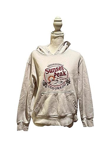 Aeropostale Pullover Hoodie (view 1)