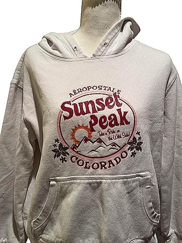 Aeropostale Pullover Hoodie (view 2)