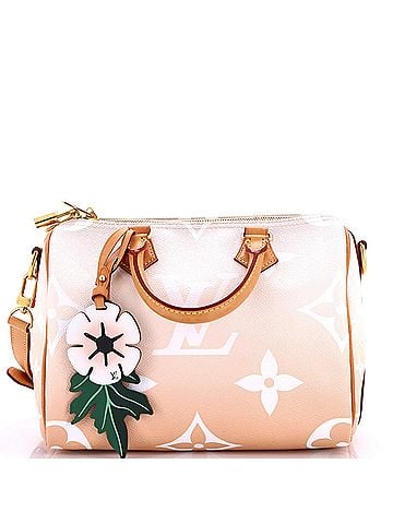 Louis Vuitton Speedy Bandouliere Bag By The Pool Monogram Giant 25 (view 1)