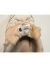 VEJA Silver White Sneakers Size 9 - photo 3