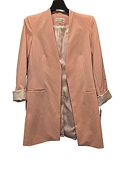 Calvin Klein Blazer (view 1)