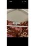 Madewell Floral Brown Pink White Short Sleeve Blouse Size XS - photo 3